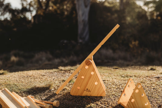 Wooden Ramps & Seesaw set