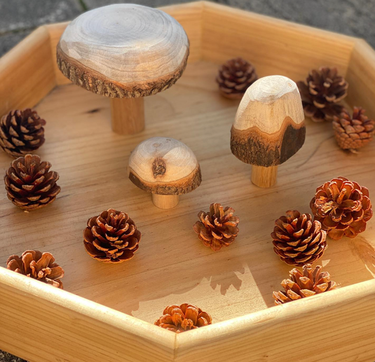 Tuff Timber Tray - Medium