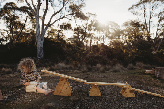 Wooden Ramps & Seesaw set