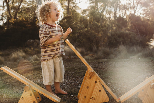 Wooden Ramps & Seesaw set